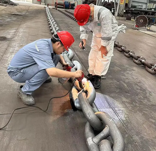 Теңіз әлемінің «Болат өмір жолы»